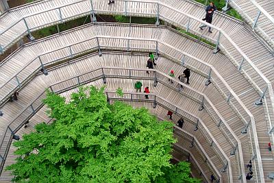 Foto Baumpfad im Naturebezentrum
